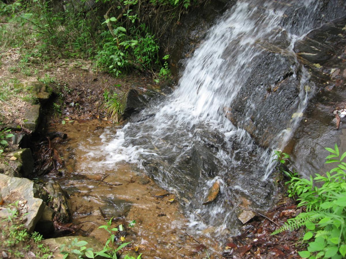 A small waterfall cascading over rocks into a shallow stream, surrounded by lush green vegetation and mossy stones. The water flows gently, creating ripples in the clear pool below. Hickory Nut mountain bike trail.
