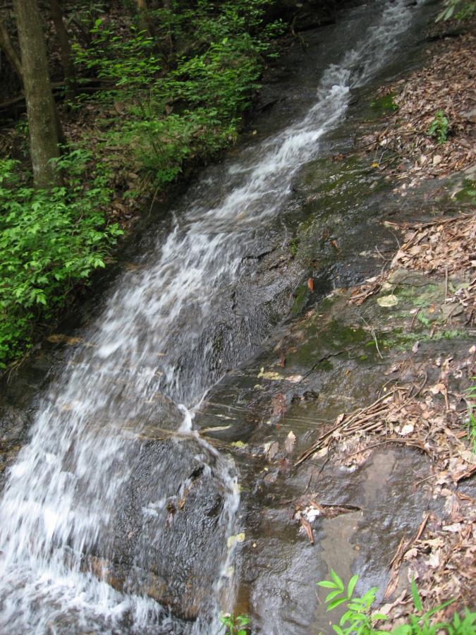 A flowing stream cascades over smooth, dark rocks, surrounded by lush green foliage and scattered leaves, creating a serene natural setting. Hickory Nut mountain bike trail.