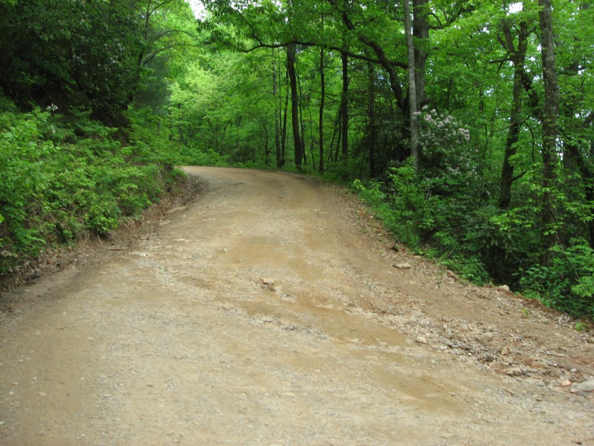 A winding dirt road surrounded by lush green vegetation and trees, leading into a forest. The scene captures the natural beauty of a forested area with vibrant plant life on either side of the road. Hickory Nut mountain bike trail.