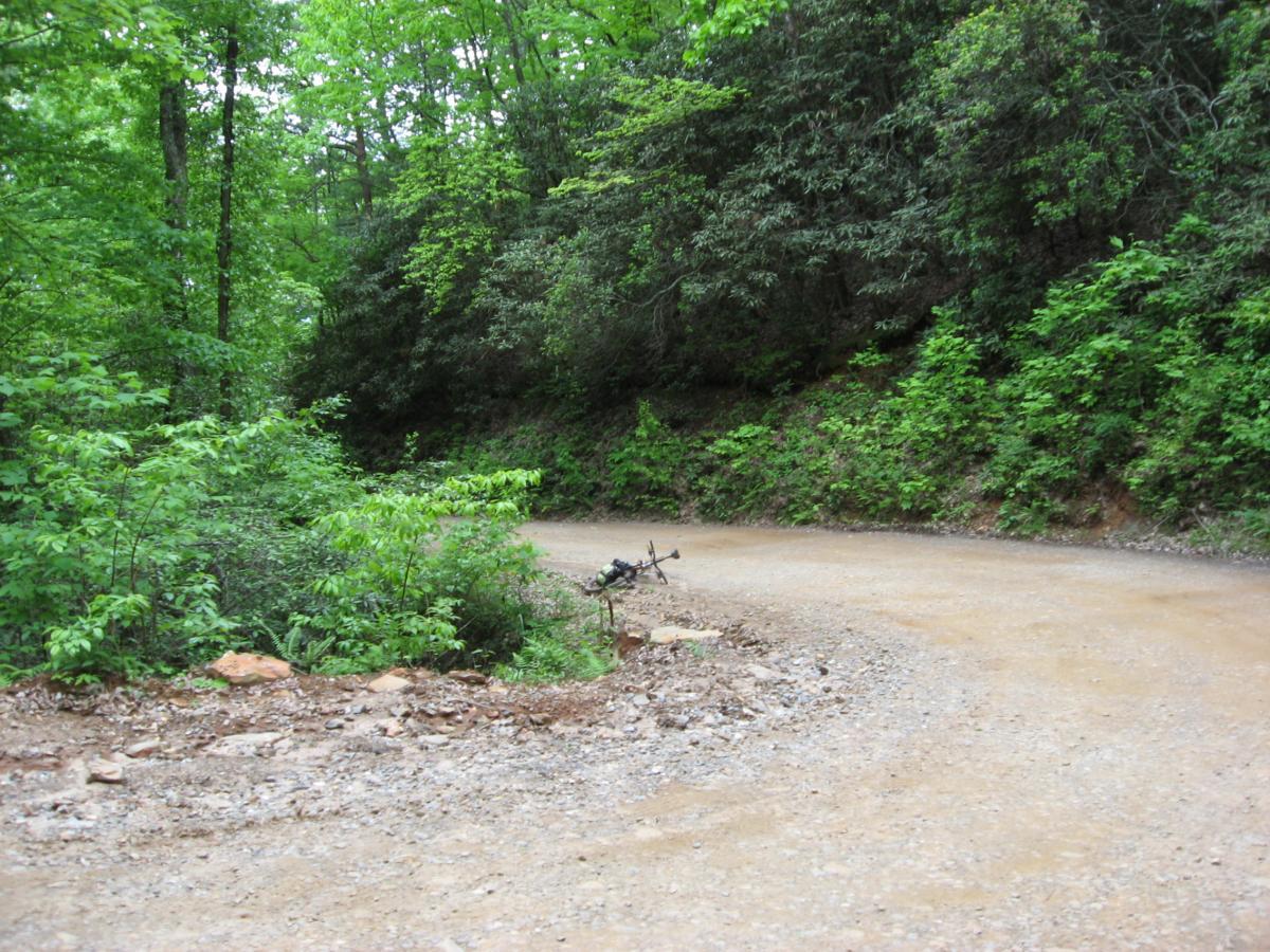 A winding dirt road surrounded by lush green foliage and trees, leading into a scenic woodland area. The road curves to the right, with gravel and small rocks visible along the edges. Bright green plants line the path, indicating a vibrant and healthy ecosystem. Hickory Nut mountain bike trail.