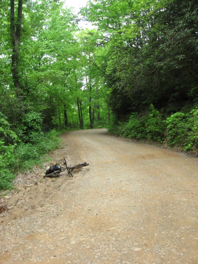 A winding dirt road surrounded by lush green trees, with a bicycle lying on the ground along the roadside. The scene captures a peaceful, natural setting, suggesting a moment of pause in a biking journey. Hickory Nut mountain bike trail.