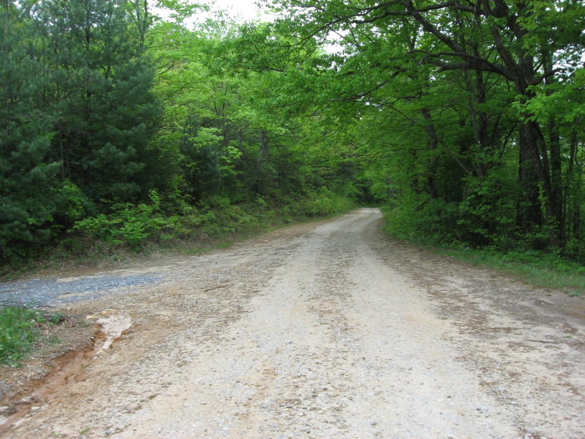 A winding dirt road surrounded by lush green trees and foliage, leading into a natural forested area. The road is slightly wet and gravelly, with patches of dirt and scattered leaves along its edges. Hickory Nut mountain bike trail.