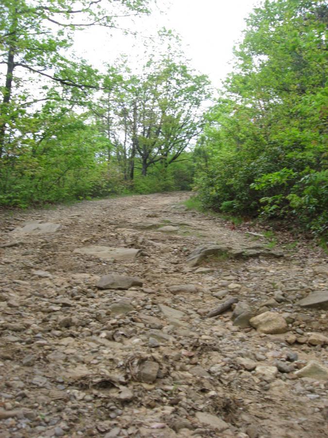 A rocky, uneven dirt path surrounded by lush greenery and trees, leading into the distance under a cloudy sky. Hickory Nut mountain bike trail.
