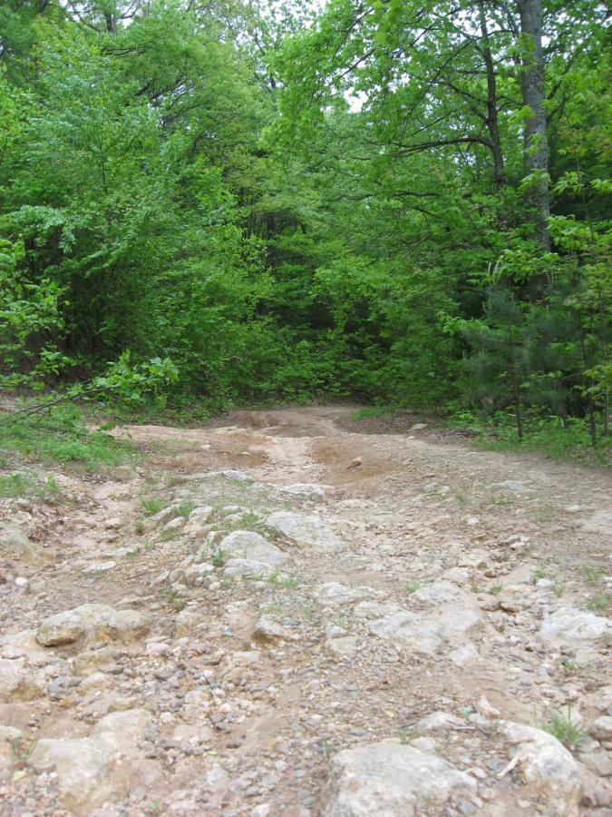 A rocky dirt path surrounded by lush green vegetation and trees, leading into a forested area. The ground is uneven with exposed rocks and gravel, indicating a natural trail in a wooded setting. Hickory Nut mountain bike trail.