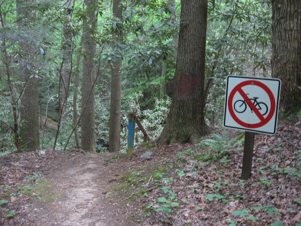 A dirt path in a forest, bordered by trees and greenery, leads to a small wooden bridge. A sign is visible on the right, displaying a bicycle with a red prohibition symbol, indicating that biking is not allowed in this area. Hickory Nut mountain bike trail.