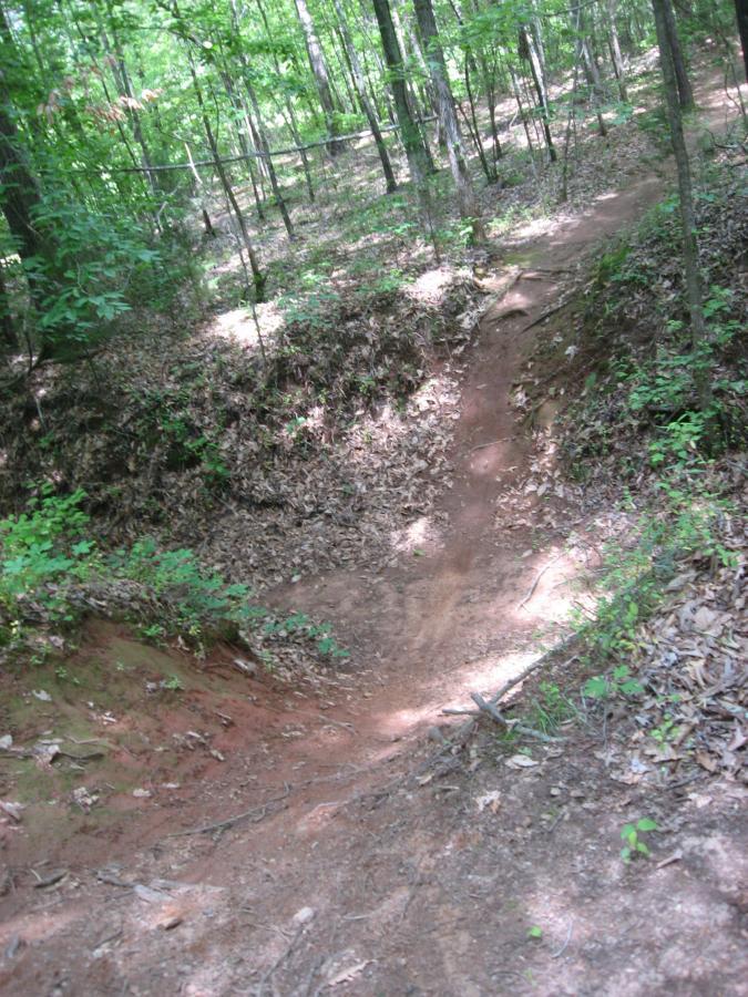 A narrow dirt trail winding through a forest, surrounded by green leaves and trees. The trail descends into a small dip lined with fallen leaves, showcasing the natural landscape. Sunlight filters through the canopy, creating a dappled effect on the ground. Hawkes Creek mountain bike trail.