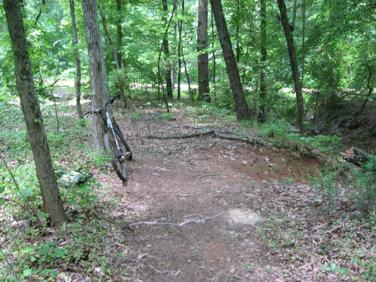 A mountain bike leaning against a tree in a wooded area, surrounded by greenery and fallen leaves. The ground is uneven and includes exposed roots and a small dirt path leading deeper into the forest. Hawkes Creek mountain bike trail.