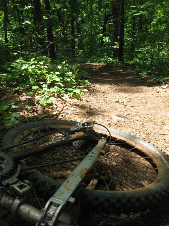 A close-up view of a mountain bike lying on its side along a dirt trail in a wooded area. The scene is filled with green foliage and sunlight filtering through the trees, highlighting the muddy and worn tires of the bike. The path curves gently into the distance. Lake Herrick mountain bike trail.