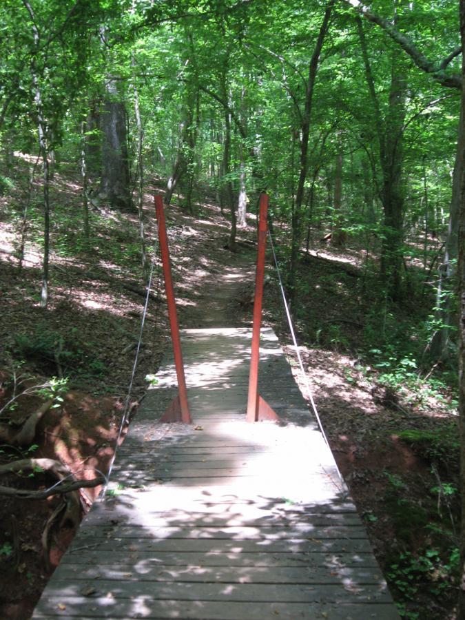 Alt text: A narrow wooden footbridge with red metal supports spans a small path through a lush green forest. Sunlight filters through the leaves, creating dappled shadows on the ground. Lake Herrick mountain bike trail.