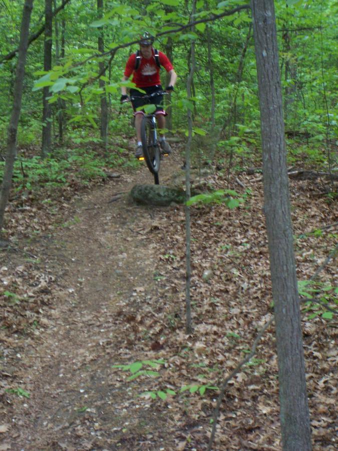 A mountain biker wearing a red shirt and a helmet is airborne over a rock on a dirt trail surrounded by green trees and foliage. The scene captures the excitement of off-road biking in a forested area. Powhite Park mountain bike trail.