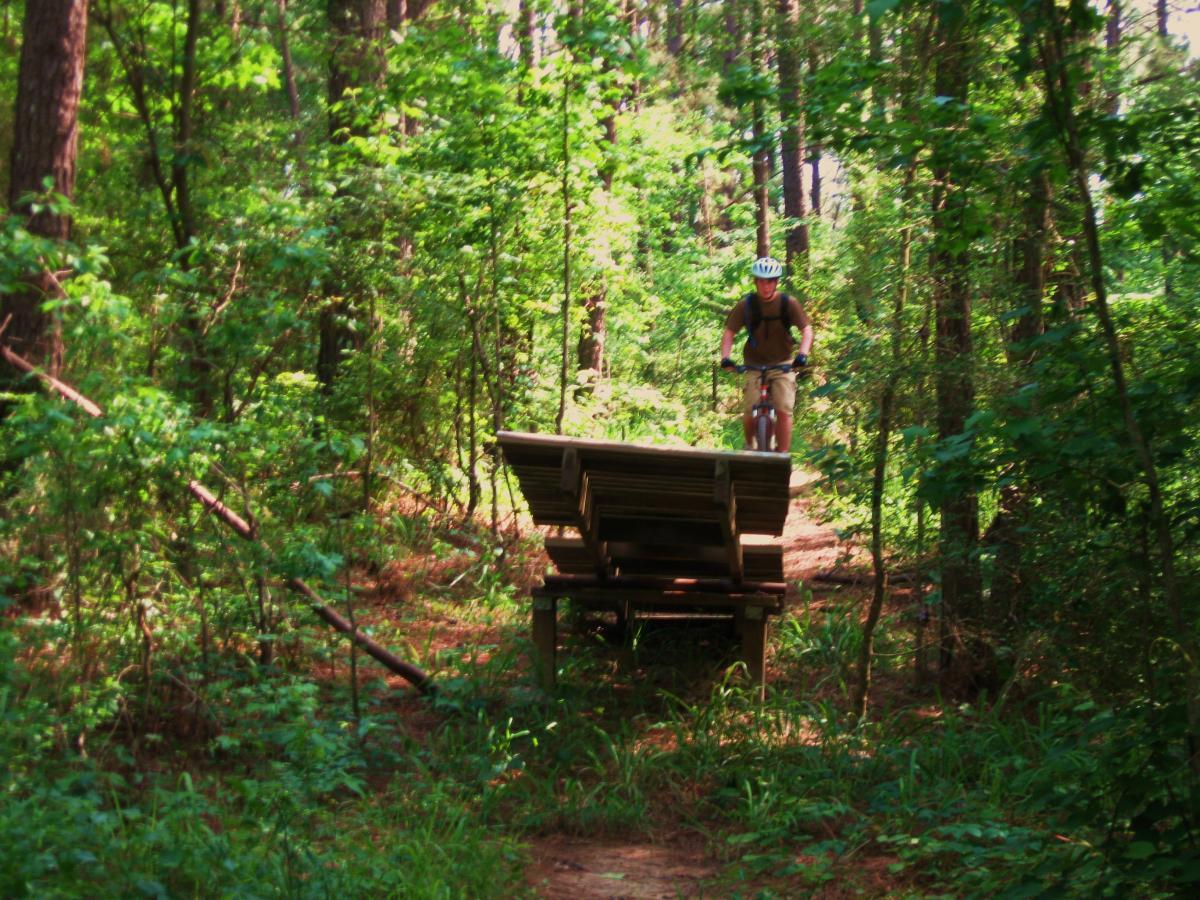 A mountain biker riding over a wooden ramp in a lush forested area, surrounded by green trees and undergrowth. Mt. Zion Bike Trails mountain bike trail.