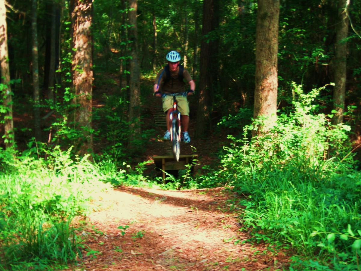 A person riding a mountain bike is jumping off a wooden bridge onto a dirt trail surrounded by lush green foliage in a forested area. Mt. Zion Bike Trails mountain bike trail.