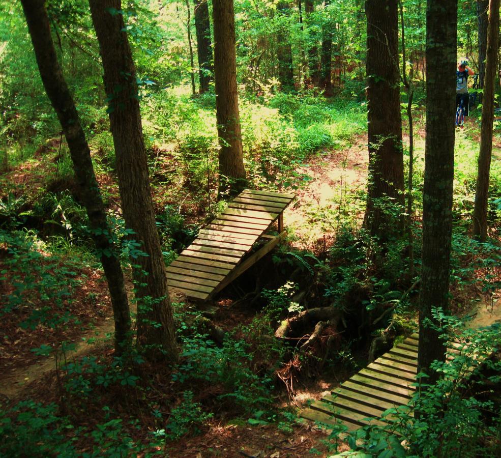 A wooden bridge spans a small creek in a lush, green forest. Tall trees surround the bridge, and sunlight filters through the leaves, creating a serene and tranquil atmosphere. A narrow dirt path can be seen leading deeper into the woods. Mt. Zion Bike Trails mountain bike trail.