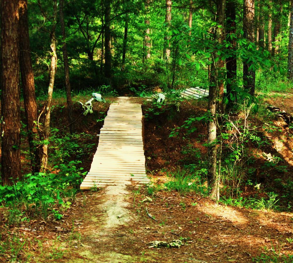 A narrow wooden bridge crossing a small clearing in a lush green forest, surrounded by tall trees and underbrush. The path leading to the bridge is dirt and edged with ferns and other vegetation. Mt. Zion Bike Trails mountain bike trail.