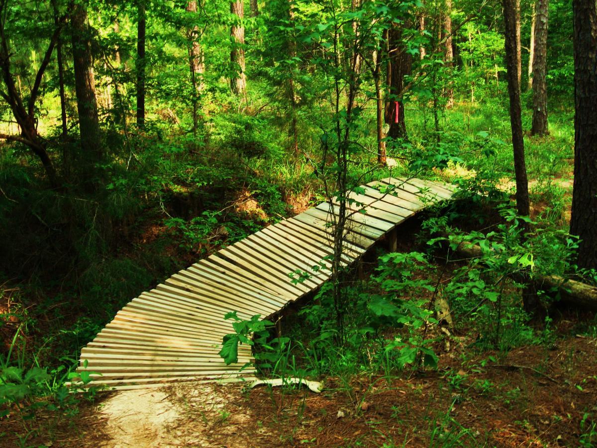 A wooden bridge arching over a small stream in a lush green forest, surrounded by tall trees and dense foliage. The bridge is made of slats, allowing sunlight to filter through the surrounding leaves. Mt. Zion Bike Trails mountain bike trail.