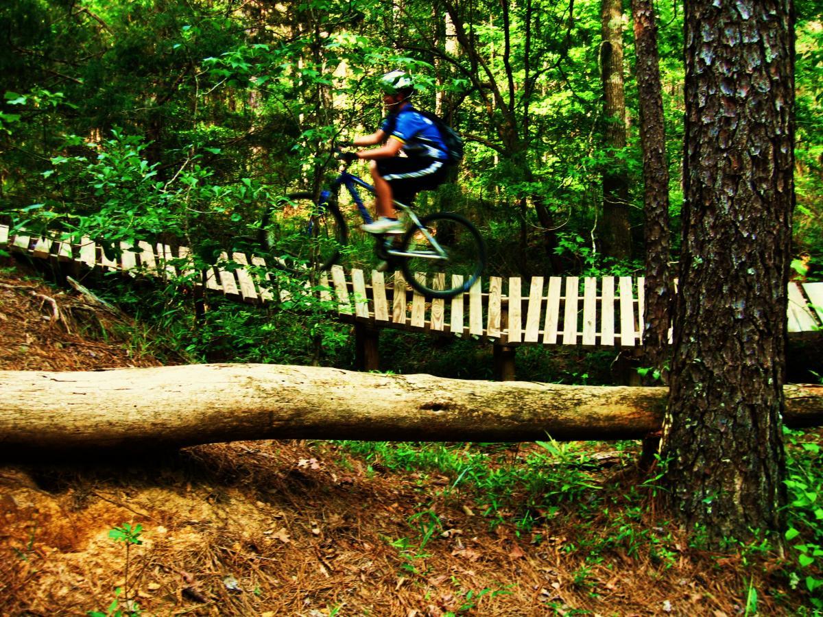 A young person riding a blue mountain bike over a wooden path in a forest, surrounded by lush green foliage and a fallen log on the ground. Mt. Zion Bike Trails mountain bike trail.
