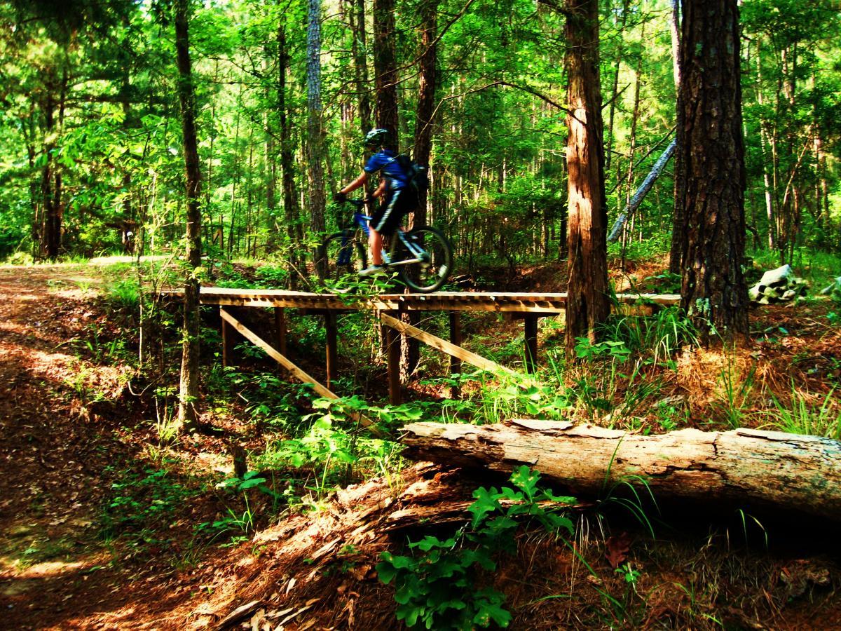 A mountain biker riding over a wooden bridge in a dense forest, surrounded by tall trees and lush greenery, with a path leading through the woods. Mt. Zion Bike Trails mountain bike trail.
