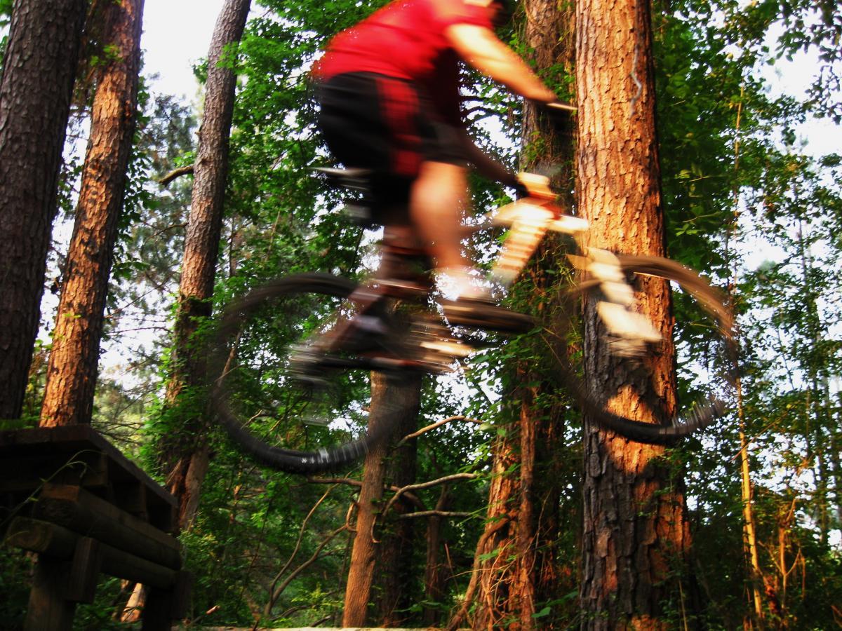 A mountain biker in a red shirt jumps off a wooden ramp in a forest, surrounded by tall trees and greenery. The motion blur captures the dynamic action of the jump, emphasizing speed and excitement in the trails. Mt. Zion Bike Trails mountain bike trail.