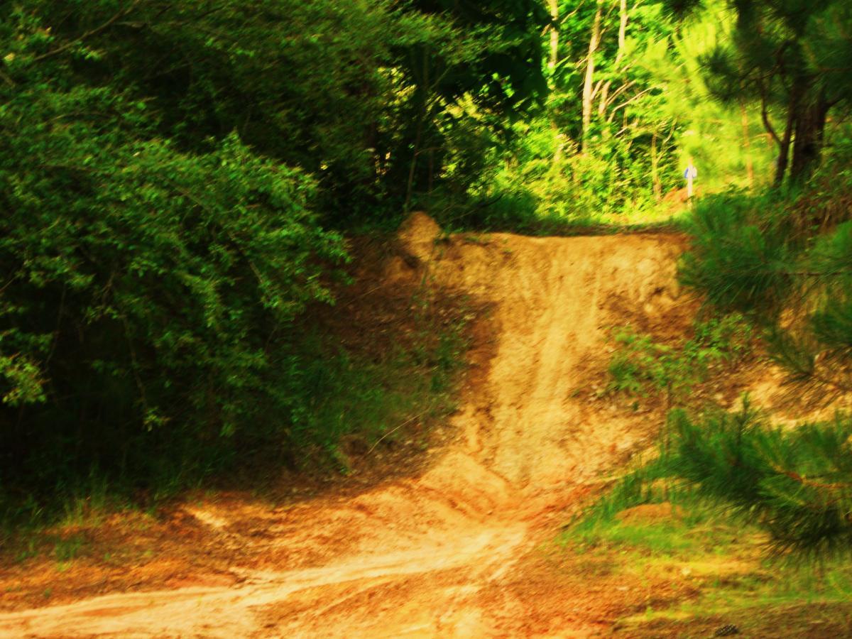 A dirt path leading up a sloped area surrounded by lush greenery, with trees and bushes on either side, creating a natural setting. Mt. Zion Bike Trails mountain bike trail.