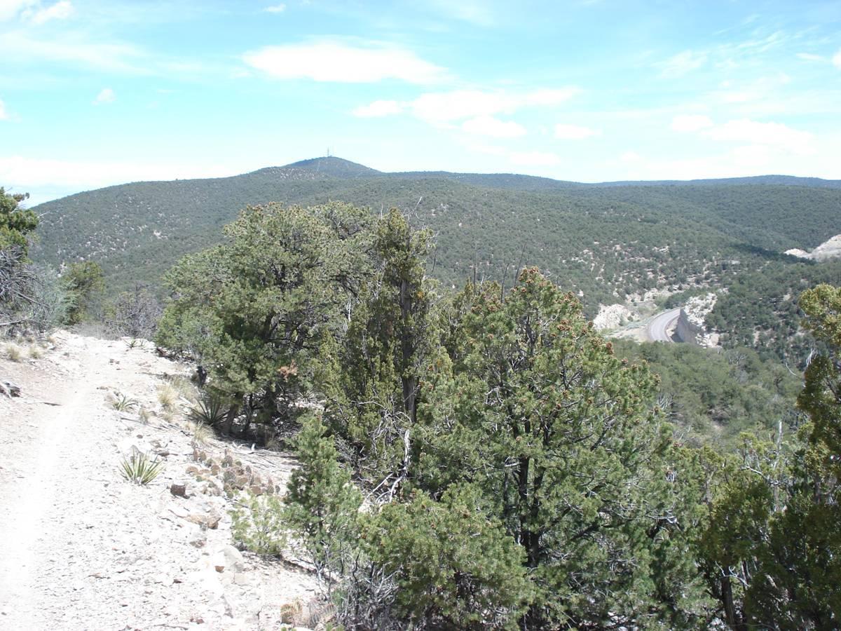 A panoramic view of a mountainous landscape featuring rolling hills covered with evergreen trees. A dirt hiking trail leads through the foreground, while a winding road can be seen in the lower right. The sky is partly cloudy, with a hint of blue peeking through. In the distance, a radio tower is visible atop a farther hill. Tunnel Canyon mountain bike trail.