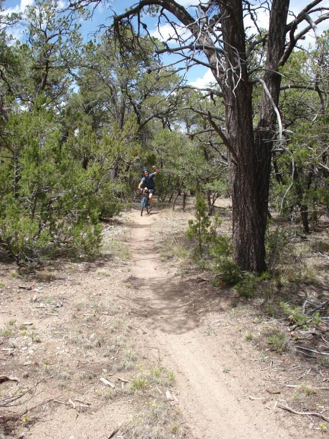 A person riding a mountain bike on a narrow dirt trail through a wooded area, surrounded by trees and sparse vegetation, with a clear blue sky above. Otero Canyon mountain bike trail.