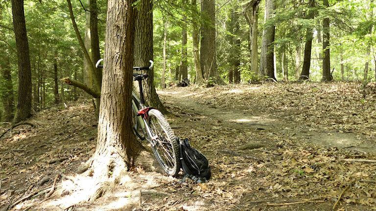 A mountain bike leaned against a tree with a black backpack nearby, set in a lush green forest with a dirt pathway visible in the background, surrounded by foliage and fallen leaves. Mohican mountain bike trail.