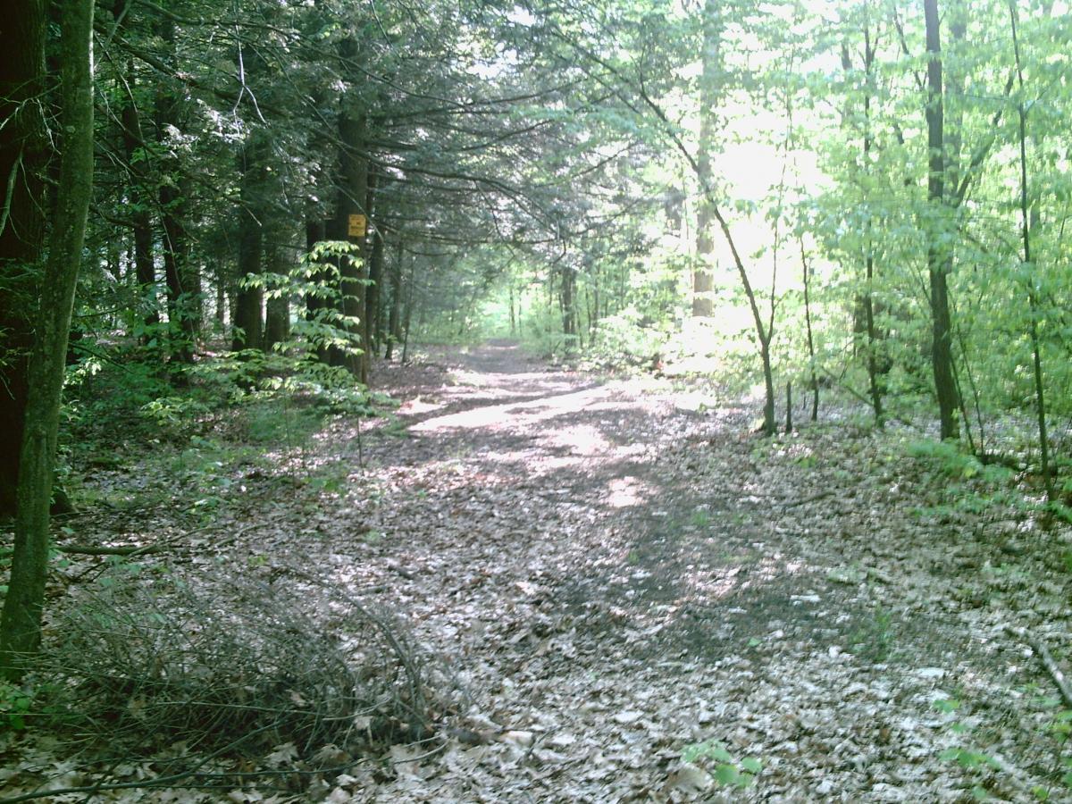  Water Company Owned Woods mountain bike trail.