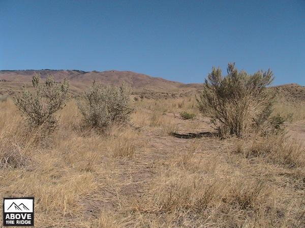 A wide view of a dry, arid landscape featuring sparse vegetation, including small bushes, set against a backdrop of rolling hills and a clear blue sky. Golden grass covers the ground, indicative of a desert or semi-desert environment. Red Fox Loop mountain bike trail.