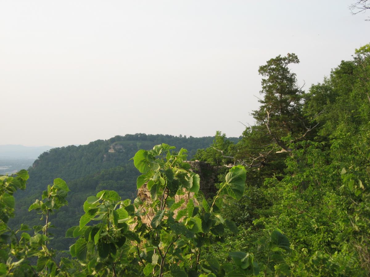Lush green foliage in the foreground with a view of rolling hills and a hazy sky in the background. Trees and plants create a natural frame for the landscape. Bluff Trails mountain bike trail.