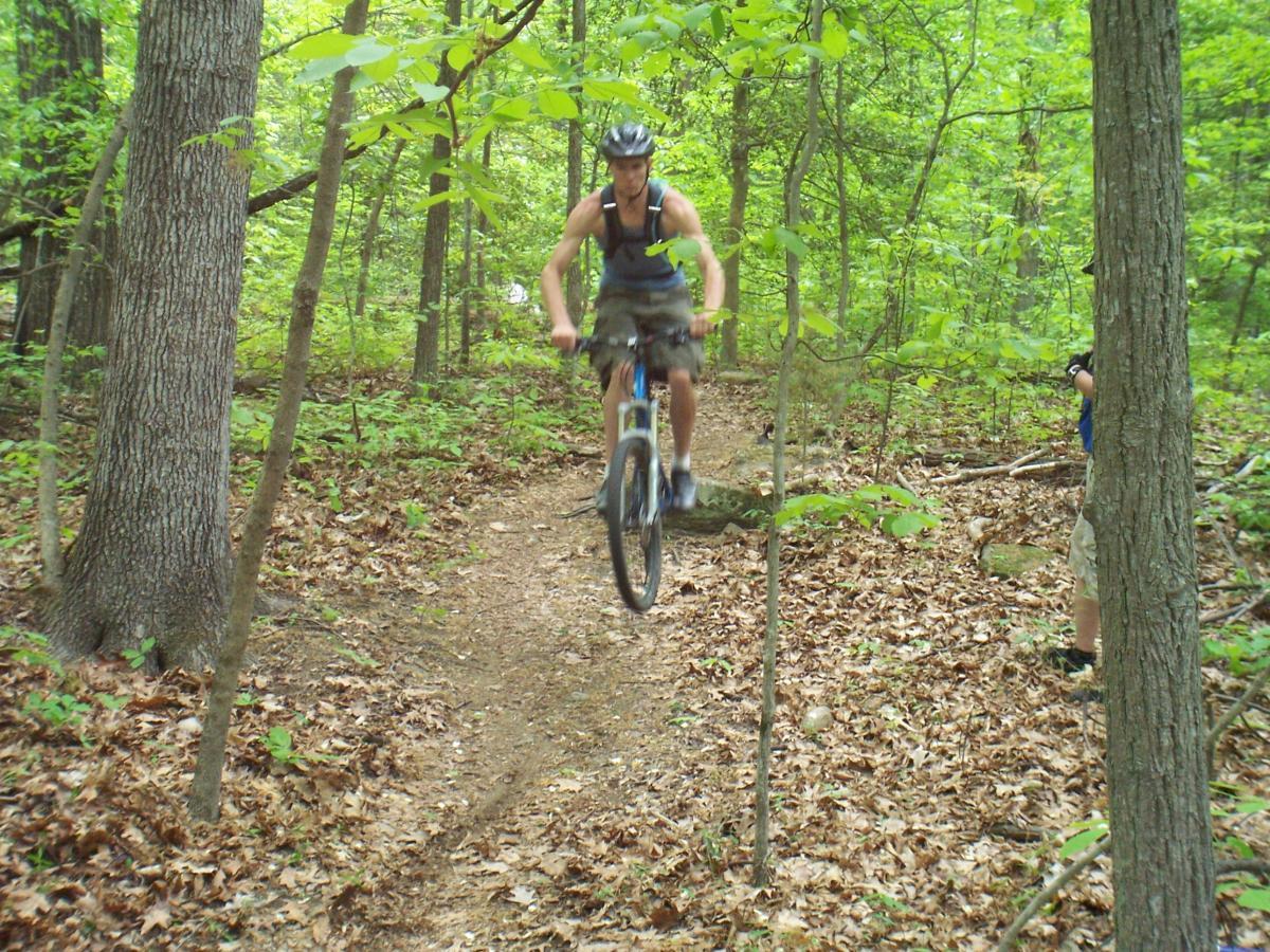 A mountain biker jumps over a small obstacle on a dirt trail surrounded by lush green trees and foliage in a wooded area. A person capturing the action can be seen in the background. Powhite Park mountain bike trail.