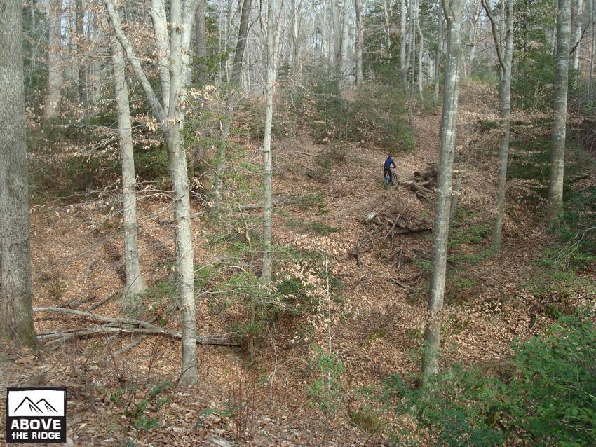 A person riding a bicycle on a woodland trail surrounded by trees with bare branches and scattered fallen leaves. The scene captures a natural environment with greenery and earthy tones, illustrating an outdoor recreational setting. York River State Park mountain bike trail.