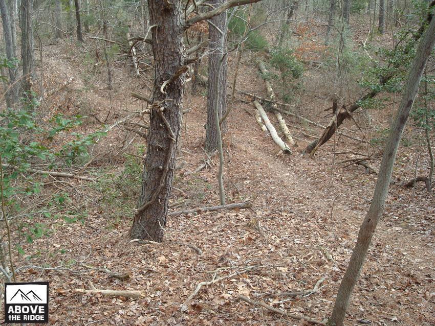 A wooded area with a dirt path running through it, surrounded by trees, fallen branches, and scattered leaves on the ground. The scene captures a natural, serene environment, indicating a trail that may lead further into the woods. A logo with the text "ABOVE THE RIDGE" is visible in the bottom left corner. York River State Park mountain bike trail.