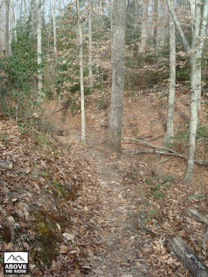 A narrow dirt path winding through a wooded area, lined with trees, some with bare branches and others still green. The ground is covered in dried leaves, and there are a few fallen branches along the sides of the trail. The scene is calm and natural, indicating a peaceful, outdoor environment. York River State Park mountain bike trail.