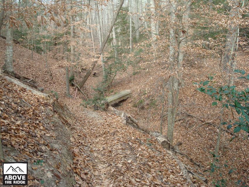 A wooded trail surrounded by trees with bare branches and fallen leaves on the ground. A small wooden bridge crosses a wooded area in the distance. The scene is characterized by a peaceful, autumn atmosphere. York River State Park mountain bike trail.