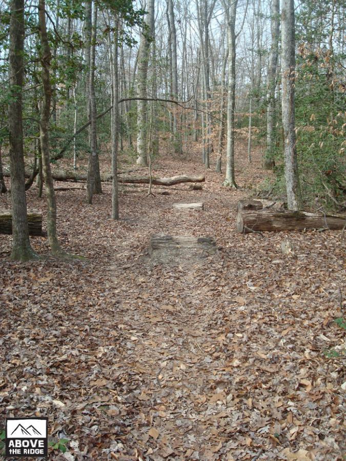 A narrow dirt path through a quiet forest, covered with fallen leaves. Tall trees with bare branches line the sides of the trail, and a few fallen logs are visible along the path. The scene is calm and serene, suggesting a peaceful outdoor environment. York River State Park mountain bike trail.