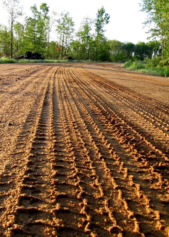 A close-up view of a dirt road with distinctive tire tracks running along the surface, surrounded by green trees and open fields in the background. The sunlight highlights the texture of the dirt and the shape of the tire patterns. The Levis Square mountain bike trail.