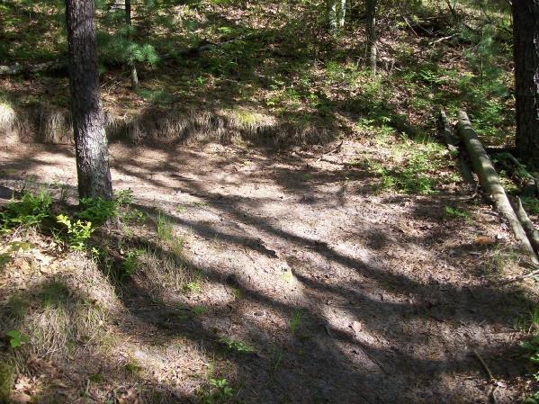 A wooded area featuring a sandy path surrounded by trees and greenery, with dappled sunlight creating shadows on the ground. Levis Mounds mountain bike trail.