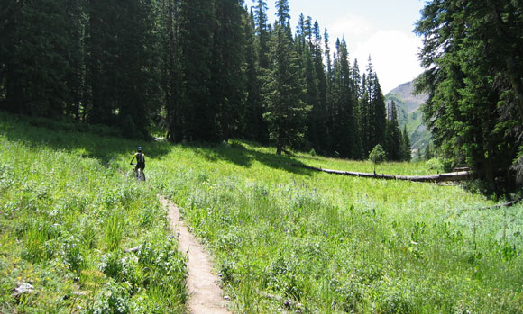 mtb-wilderness mtb-wilderness