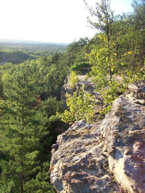 Alt text: A rocky cliff edge covered with small plants and trees, overlooking a dense forest landscape bathed in sunlight. The view extends to the horizon, showcasing a range of green hues from the trees below. Wildcat Mound mountain bike trail.