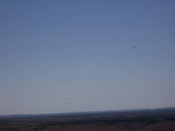 A clear sky with a few birds flying above a vast landscape of trees and hills in the distance. Levis Mounds mountain bike trail.