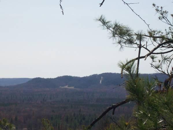 A panoramic view of rolling hills and dense forest under a clear sky, with pine branches in the foreground. The landscape features varied elevations and shadows, indicating the natural terrain. Levis Mounds mountain bike trail.