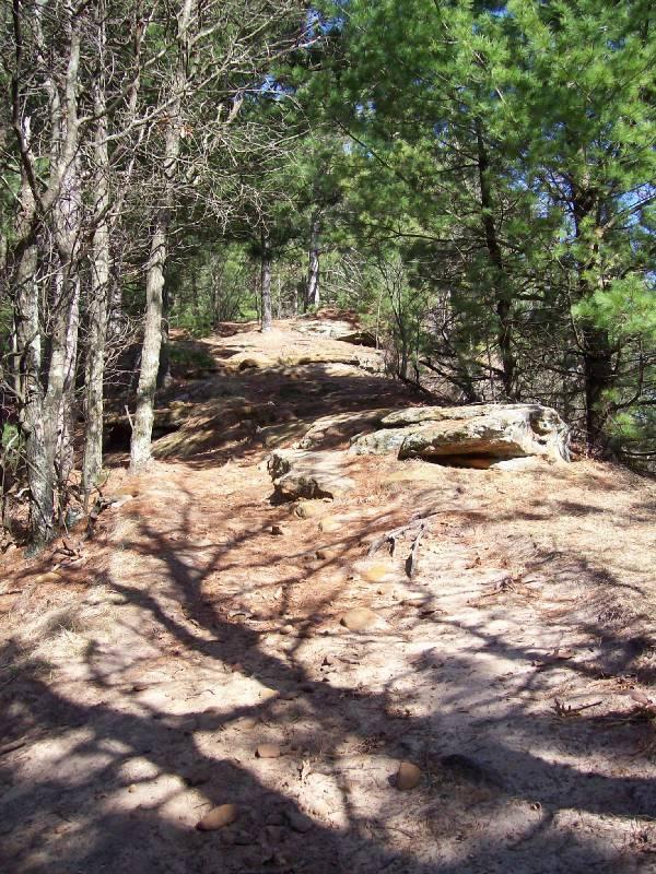 A narrow, winding trail lined with trees and covered in sandy soil and rocks, leading through a wooded area. Sunlight filters through the branches, casting shadows on the ground. Levis Mounds mountain bike trail.