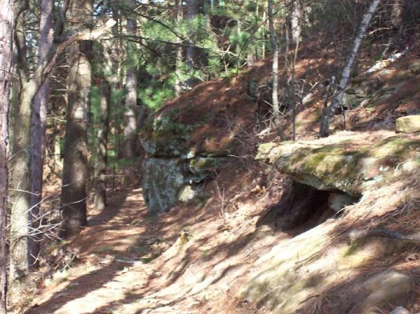 A winding dirt path leads through a forest, flanked by tall trees and rocky outcrops. The terrain is covered with pine needles and the ground is uneven, suggesting a natural, untouched wilderness area. Sunlight filters through the branches, creating dappled shadows on the trail. Levis Mounds mountain bike trail.