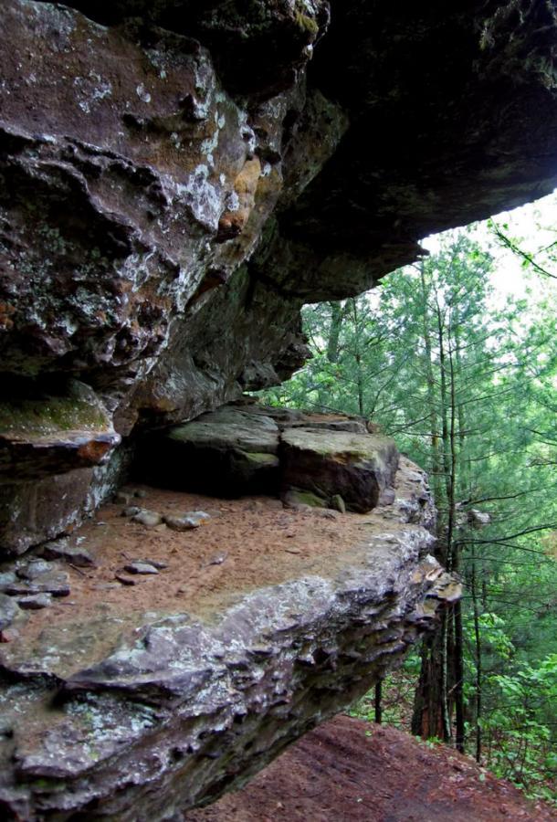 A rocky ledge with moss and various textures, surrounded by green pine trees in a natural forest setting. The image captures the rugged surface of the rock and the contrast with the lush foliage in the background. Levis Mounds mountain bike trail.