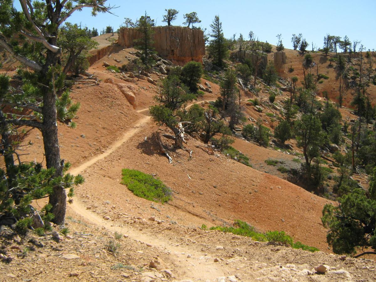A winding dirt path meanders through a rugged landscape characterized by reddish soil, scattered rocks, and sparse vegetation. Pine trees dot the hillside, and a clear blue sky stretches overhead, suggesting a bright and sunny day in a natural setting. Thunder Mountain mountain bike trail.