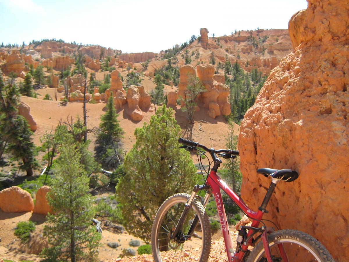 A red mountain bike leaning against a large orange rock in a scenic landscape featuring hoodoo rock formations, pine trees, and warm, sandy terrain under a clear blue sky. Thunder Mountain mountain bike trail.