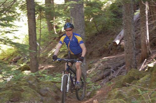 A person riding a mountain bike on a narrow trail surrounded by trees and greenery. The cyclist is wearing a bright blue and yellow jersey, a helmet, and gloves, navigating through a natural forest environment.