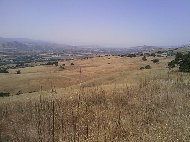 A panoramic view of rolling hills and valleys under a clear blue sky. The landscape features dry, golden grasses and scattered trees, with distant mountains visible in the background. The scene conveys a serene natural environment. Harvey Bear Trail mountain bike trail.