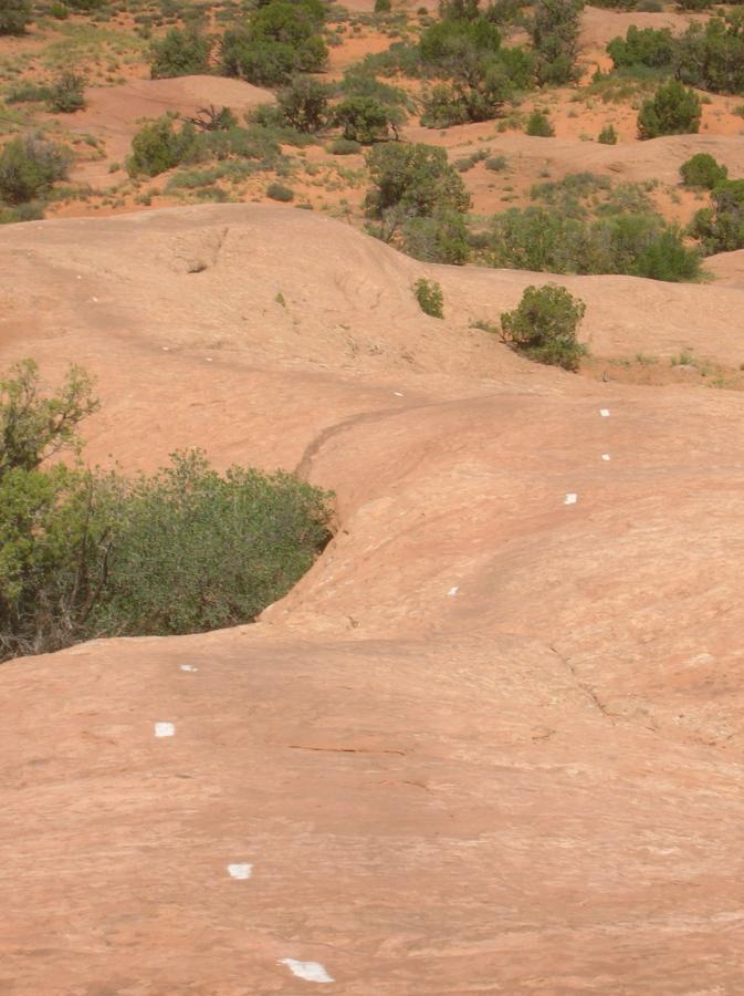 A sandy, reddish-brown landscape featuring smooth rock formations, marked by white trail markers leading through patches of green shrubs and trees in the background. Slickrock mountain bike trail.