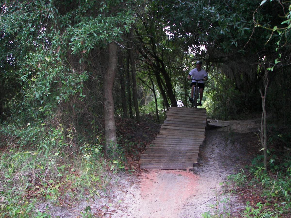 A mountain biker rides a wooden ramp through a wooded trail, surrounded by greenery and trees. The ramp leads down to a dirt path, suggesting an outdoor adventure or biking activity. Loyce E. Harpe Park mountain bike trail.